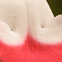 No.127